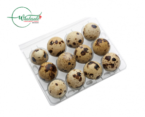 QUAIL EGGS 1*12